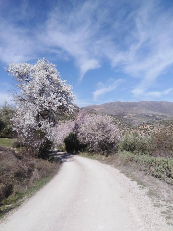 El Convento Vivienda Rural Jaen Andalucia Espana Carchelejo Dış mekan fotoğraf
